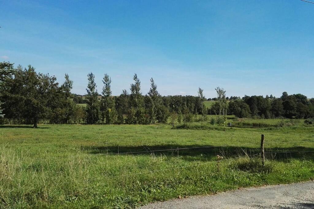 Ferienwohnung In Mittelsaida Grosshartmannsdorf ภายนอก รูปภาพ